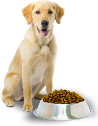 Alimento Para Perros