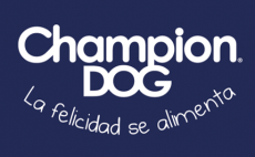 champion DOG